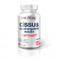 Be First Cissus Quadrangularis extract - 120 капсул